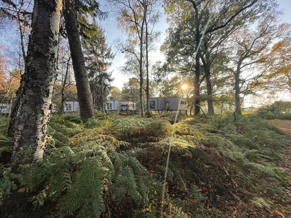 Tierpark Entdeckerhaeuser Wagenfeld Buitenkant foto