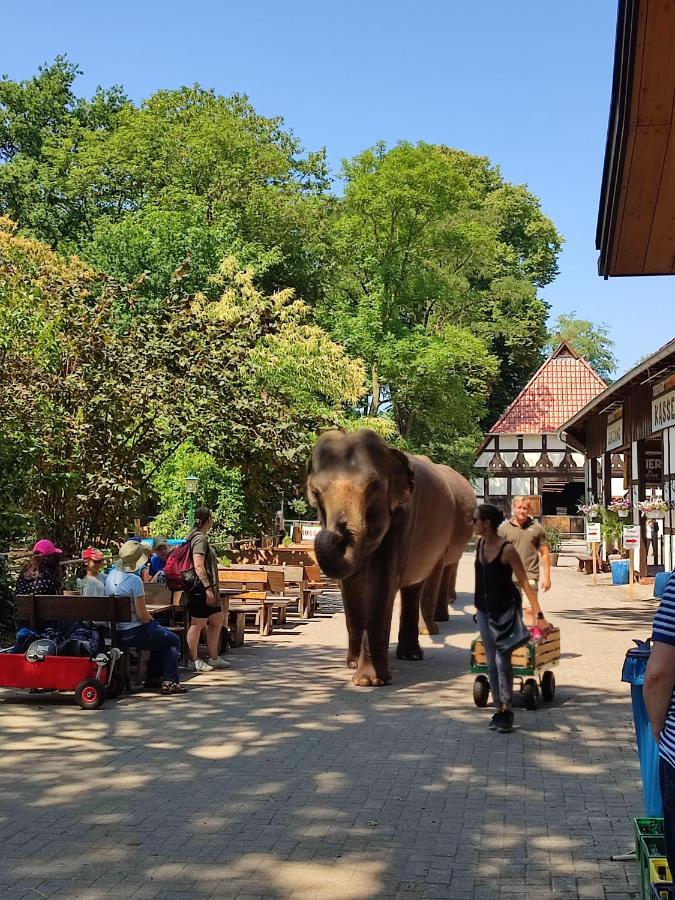 Tierpark Entdeckerhaeuser Wagenfeld Buitenkant foto