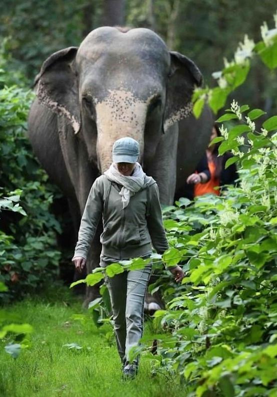 Tierpark Entdeckerhaeuser Wagenfeld Buitenkant foto