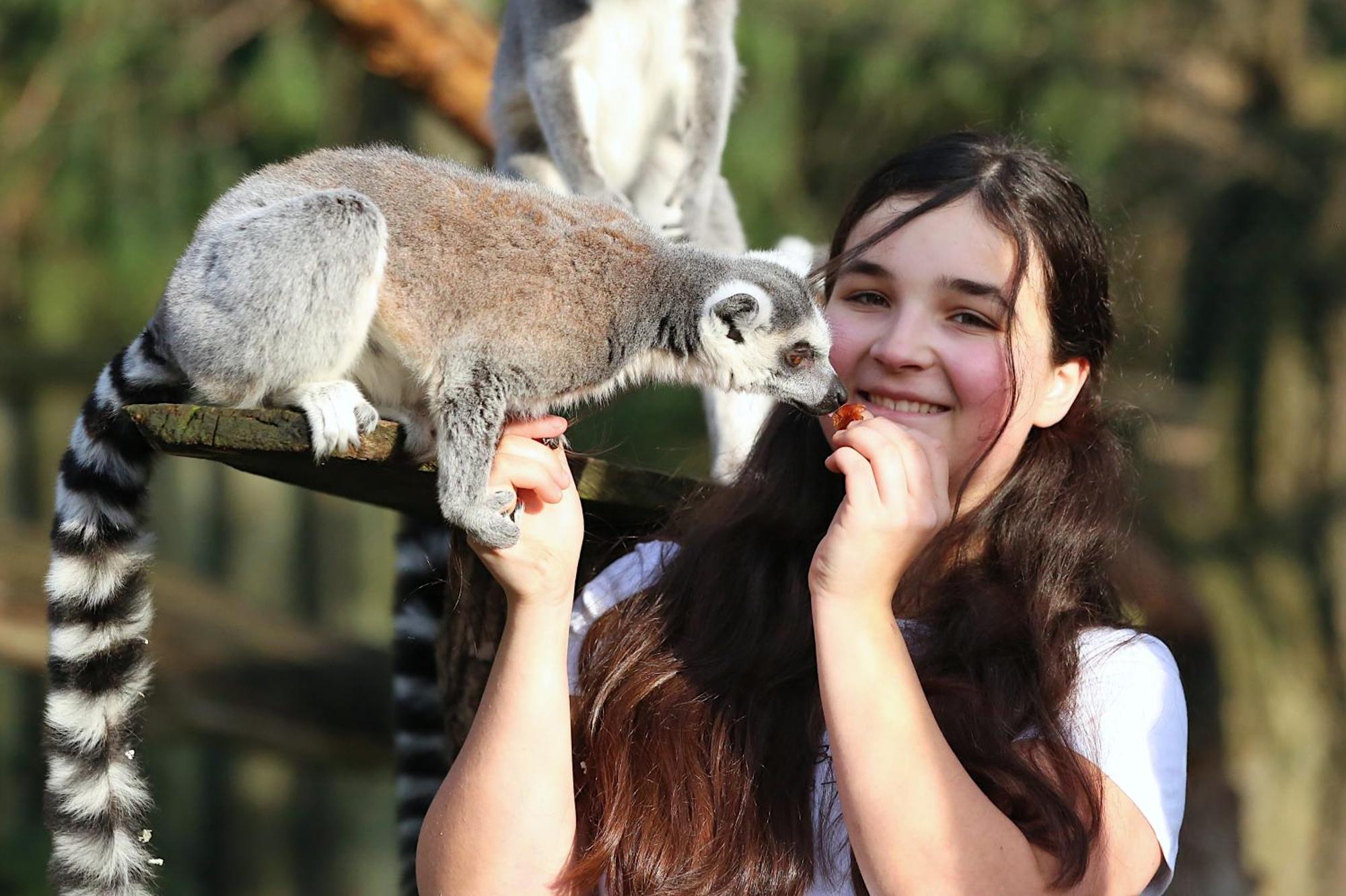 Tierpark Entdeckerhaeuser Wagenfeld Buitenkant foto
